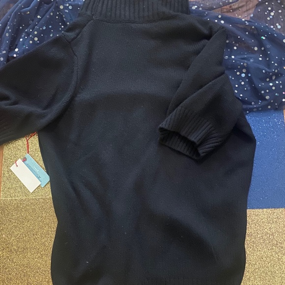 ANTHRO PLUS ITALIAN 100% YARN TURTLENECK Sweater - Picture 4 of 15